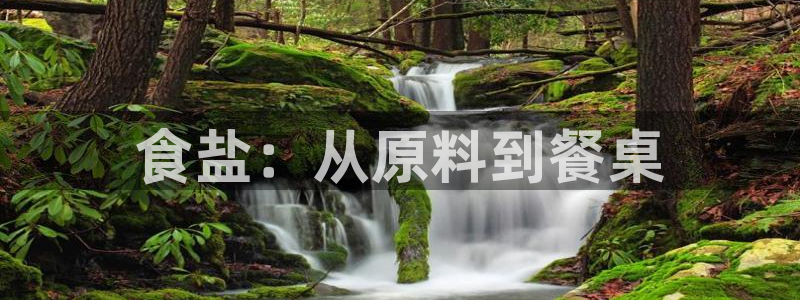 威九国际fX8x