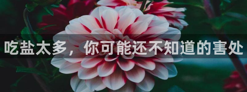 威九国际合作伙伴有哪些