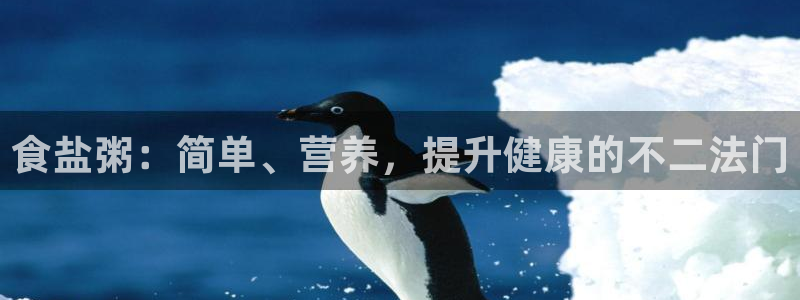 威九国际精彩推荐怎么样