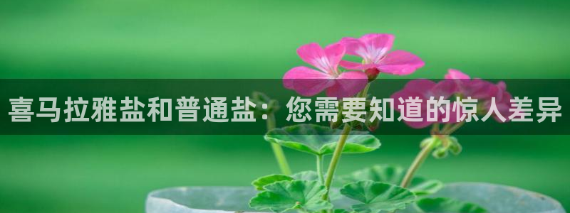 威九国际海域