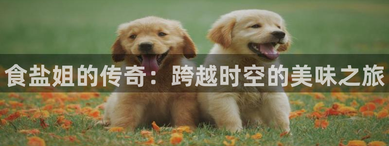 威九国际官方网站