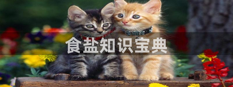 威九国际官网在线进入网站查询网址