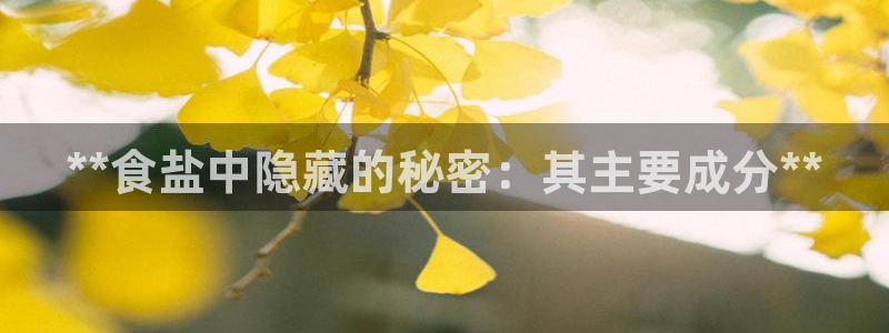 威九国际能提现吗