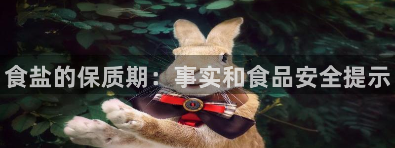 威九国际Info
