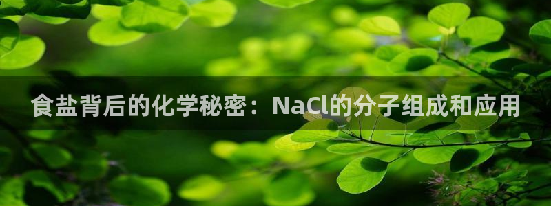 威九国际网站链接怎么打开