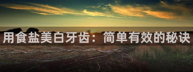 威九国际网站传媒
