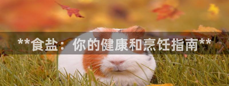 威九国际66在线