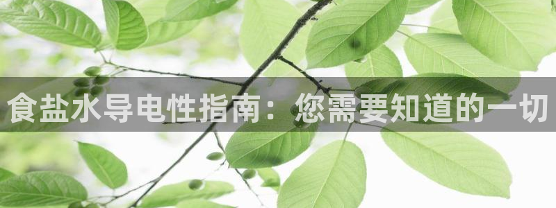 威九国际78m光伏巨头隆基绿能esg成色