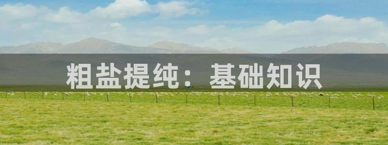 威九国际可以提现吗