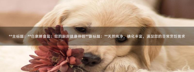 保定威九网络科技有限公司