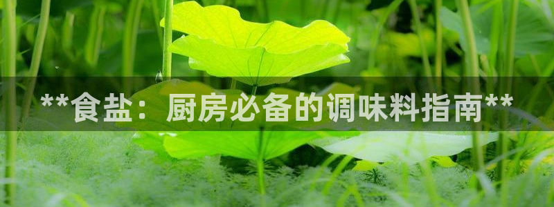 威九国际演员2023年最新作品