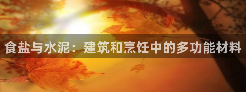威九国际演员表
