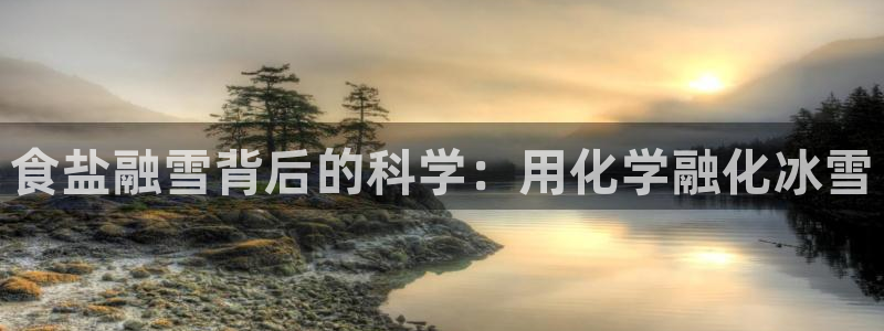 威九国际软件公司简介
