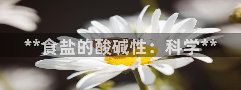 威九国际天美