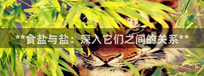 威九国际成长模式怎么样