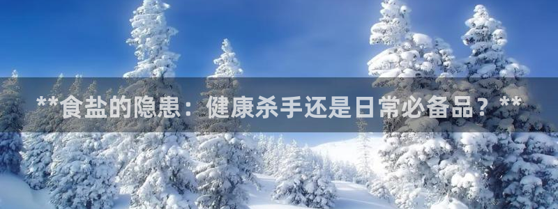威九国际小说