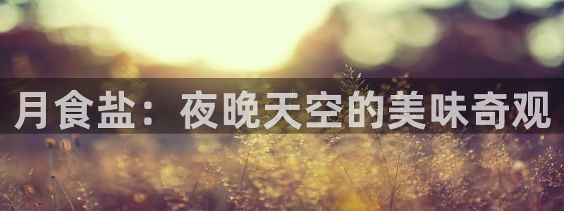 威九国际ppt免费