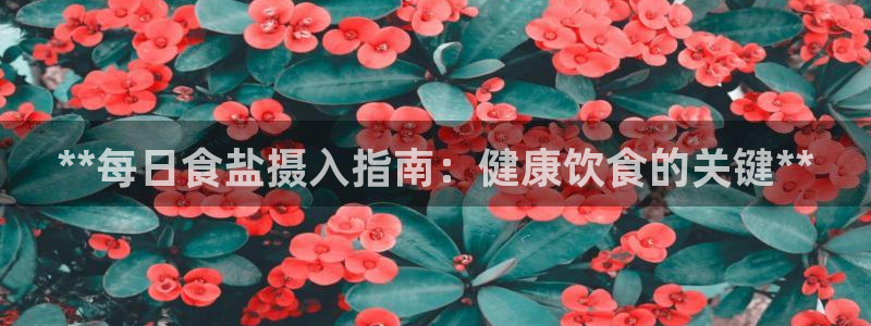 威九国际网站入口官网免费下载