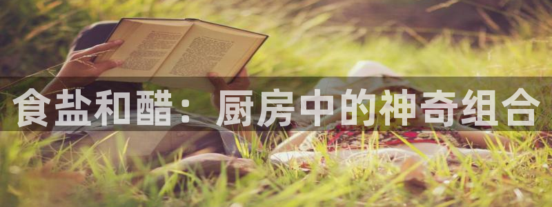 保定威九网络科技有限公司