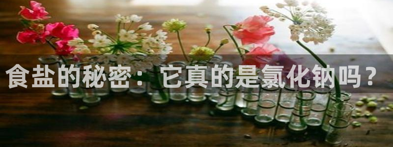 威九国际66m66官网
