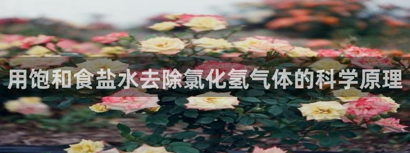 威九国际66视频