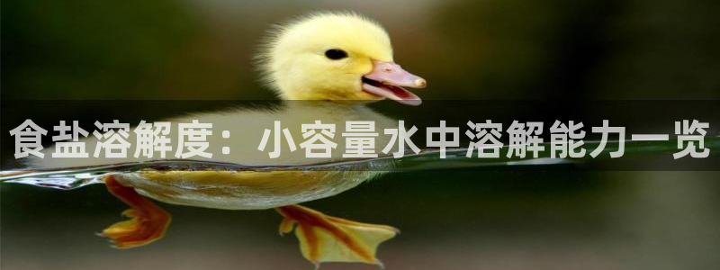 威九国际的金融服务怎么样