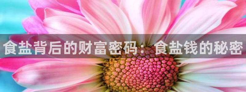 威九国际网站怎么样可靠吗