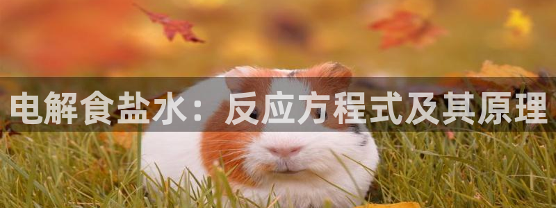 威九国际演员2023年最新作品