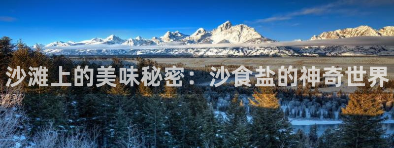 威九国际观看
