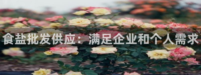 威九国际网站进入客服中心怎么进