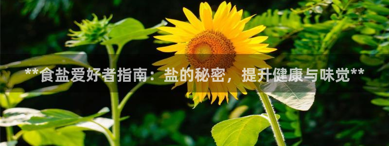 威九国际免费