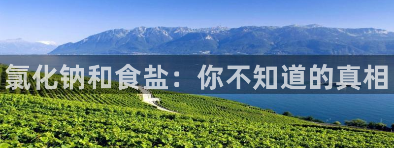 威九国际人民网招聘