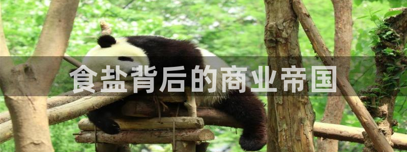威九国际78m光伏巨头隆基绿能esg成色
