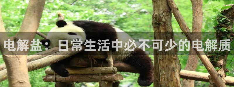 威九国际清砖码