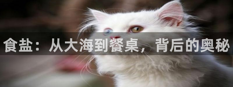 保定威九网络科技有限公司是干嘛的