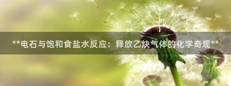 威九国际官方下载
