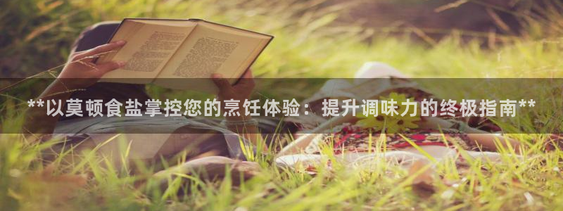 威九国际软件公司简介