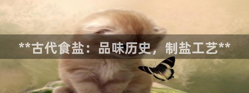 威九国际电子有限公司