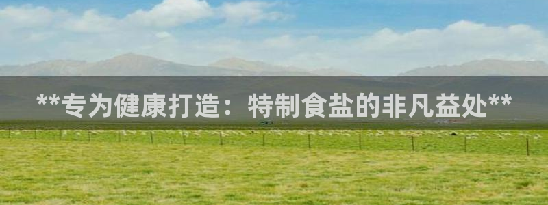 威九国际空降服务怎么样