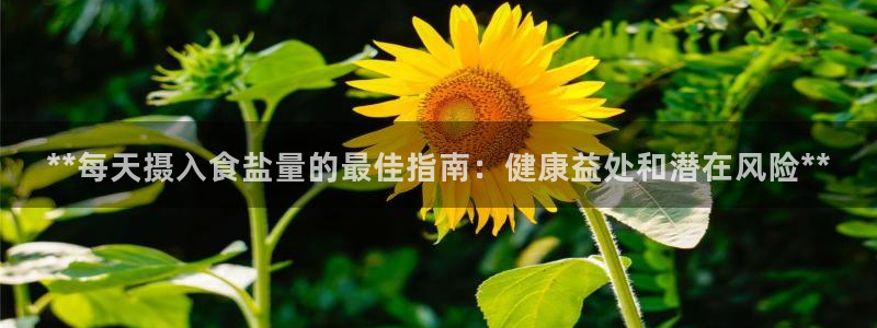 威九国际X8