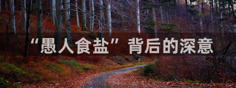 威九国际的演员