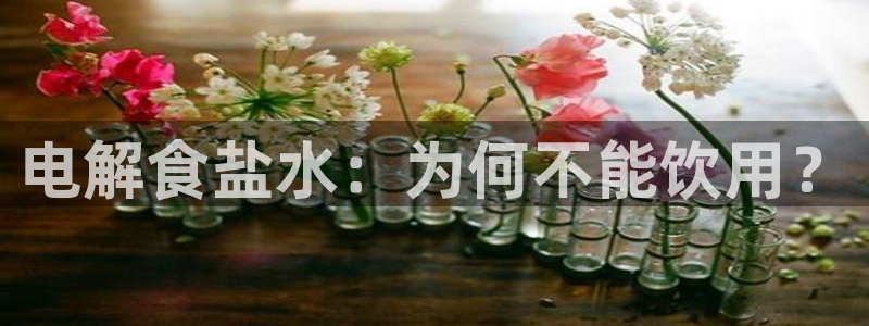 威九国际旗下艺人