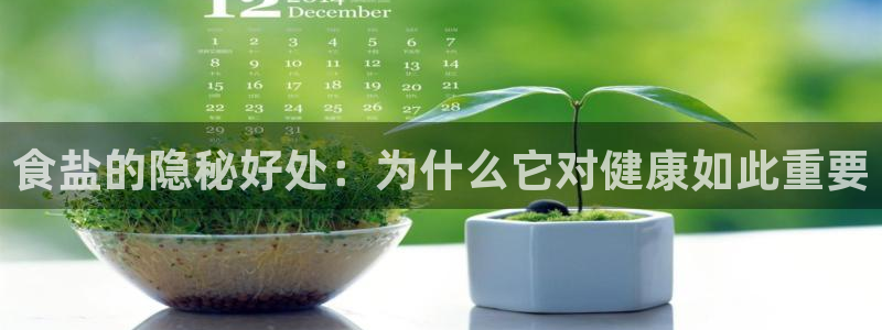 威九国际官网版下载