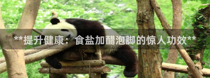 威九国际女主名字