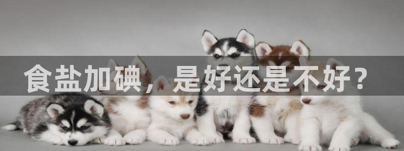 威九国际APP下载