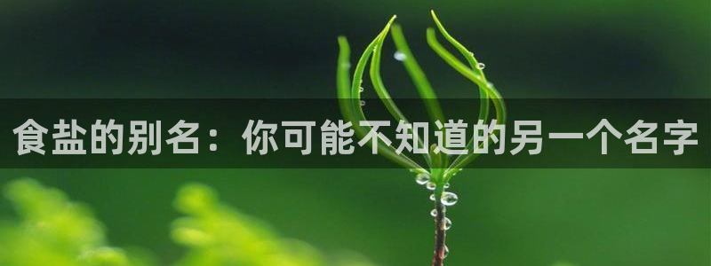保定威九网络科技有限公司怎么样