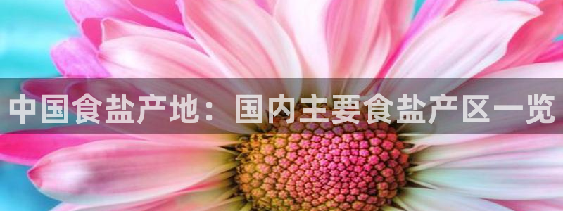 66m威九国际精选