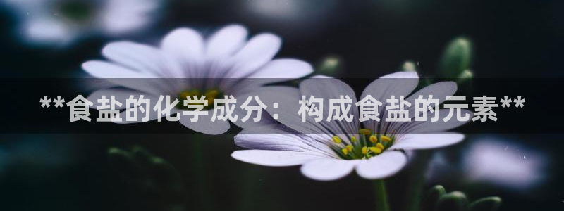 威九国际女儿的朋友