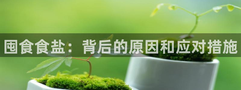威九国际清砖码
