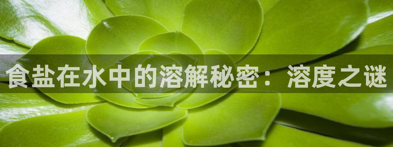 保定威九网络科技有限公司